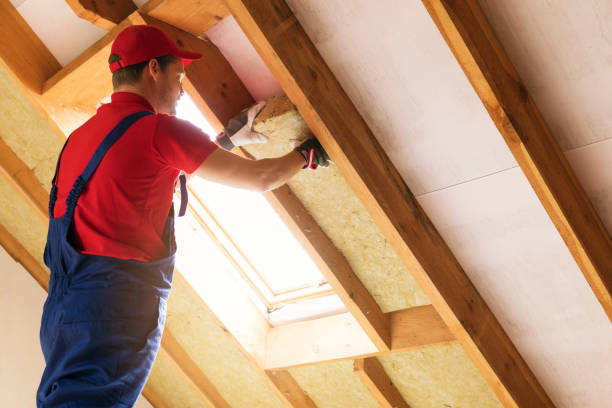 Best Insulation for New Construction  in West Rson, CA